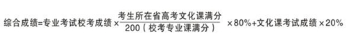 合肥學(xué)院2014年美術(shù)專業(yè)招生簡章