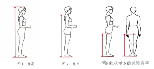 西藏自治區(qū)2025年普通高等學(xué)校招生藝術(shù)類（表<導(dǎo)>演類）專業(yè)報(bào)考簡(jiǎn)介