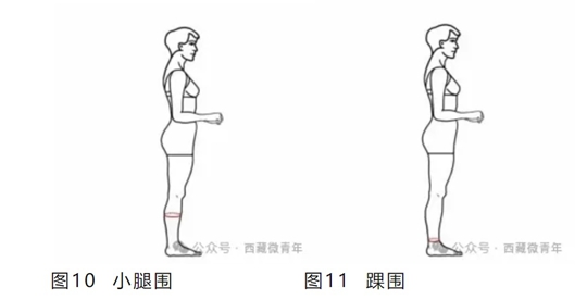 西藏自治區(qū)2025年普通高等學(xué)校招生藝術(shù)類（表<導(dǎo)>演類）專業(yè)報(bào)考簡(jiǎn)介