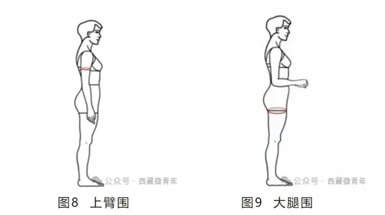 西藏自治區(qū)2025年普通高等學(xué)校招生藝術(shù)類（表<導(dǎo)>演類）專業(yè)報(bào)考簡(jiǎn)介
