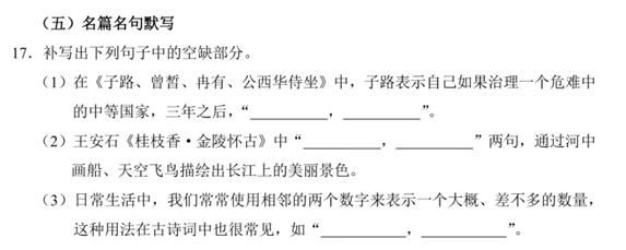 2025年高考綜合改革適應(yīng)性測試語文試題