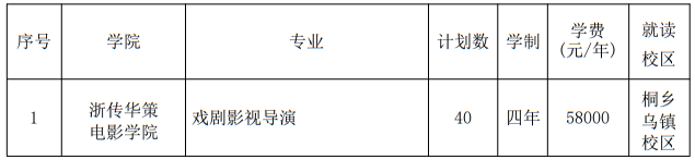浙江傳媒學(xué)院2025年藝術(shù)類本科專業(yè)招生計劃