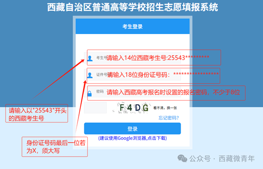 2025年西藏班高考志愿填報流程